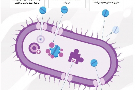 هفته جهانی آگاه سازی داروهای آنتی میکروبیال 